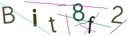 Beeld-CAPTCHA